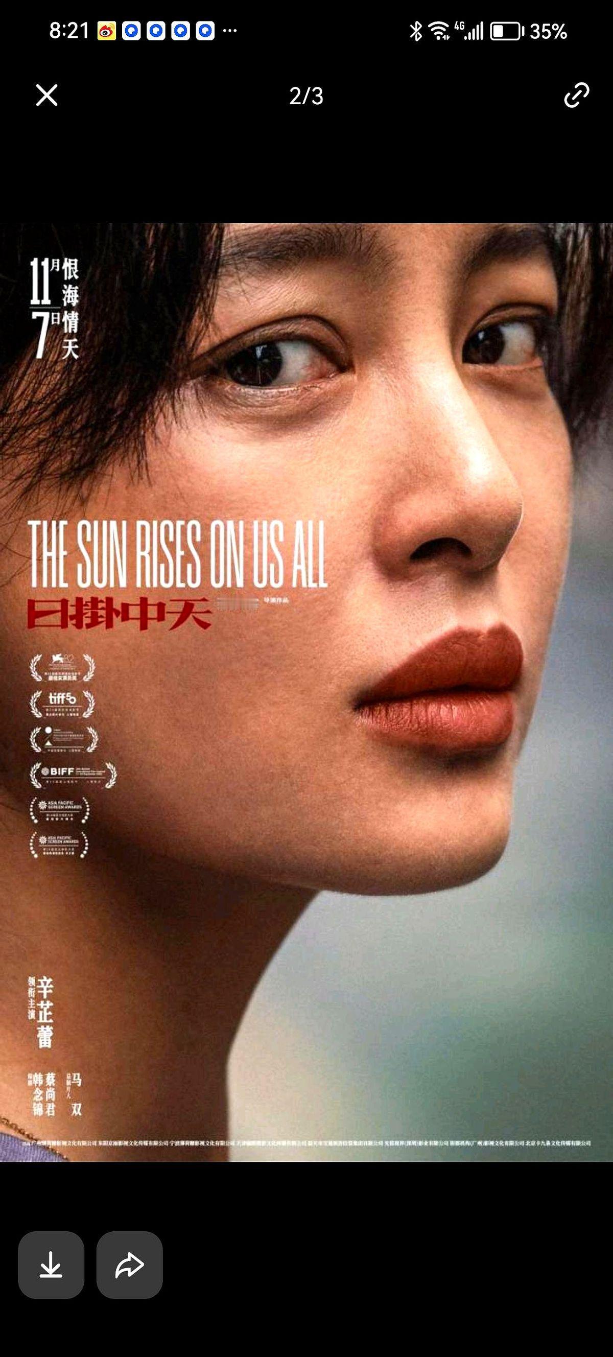 昨晚上看了辛芷蕾和张颂文主演的电影《日挂中天》。这部电影围绕“大恩如仇”展开