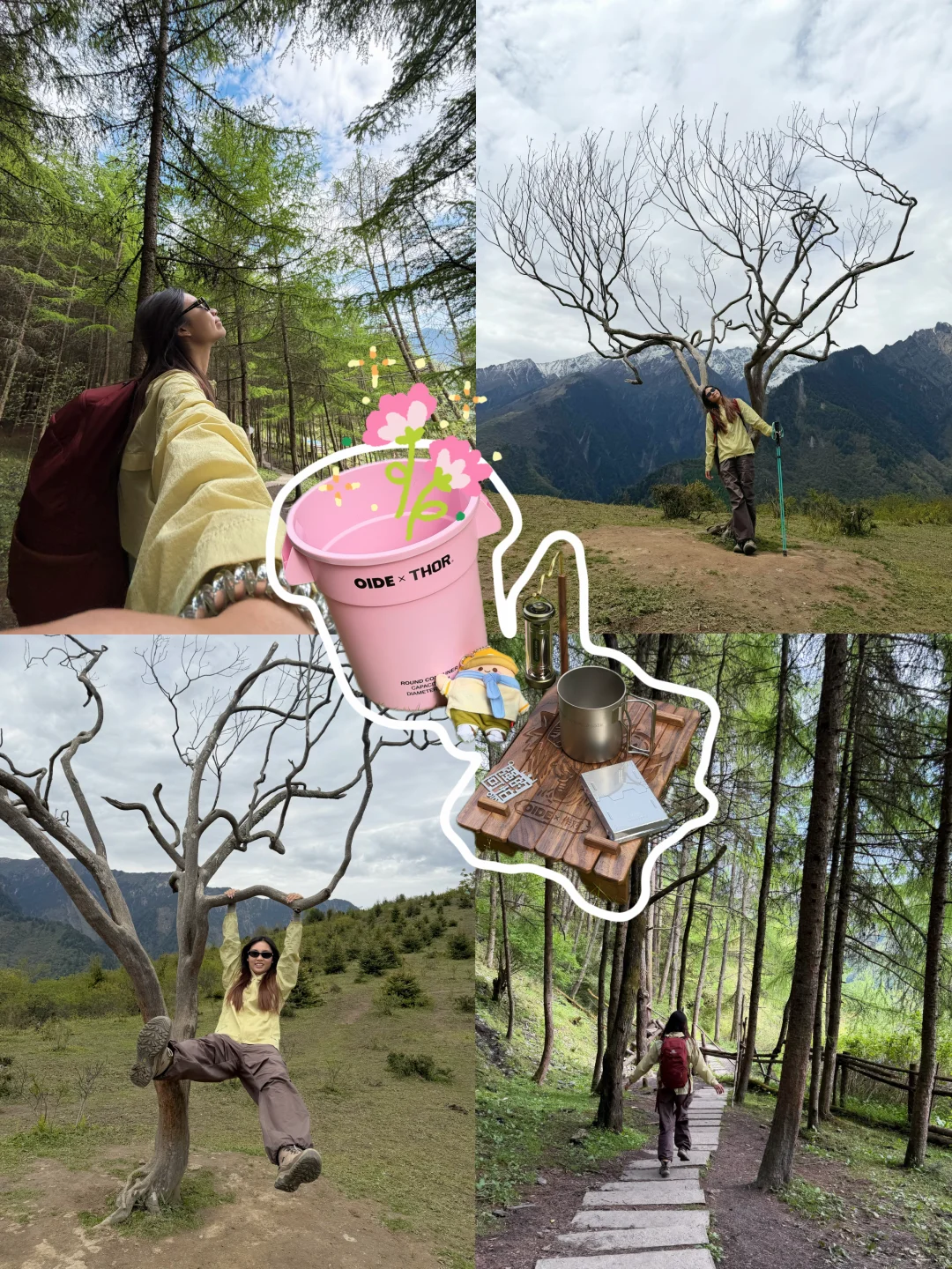 云中牧场｜在川西闯进一片绿野仙踪🍃