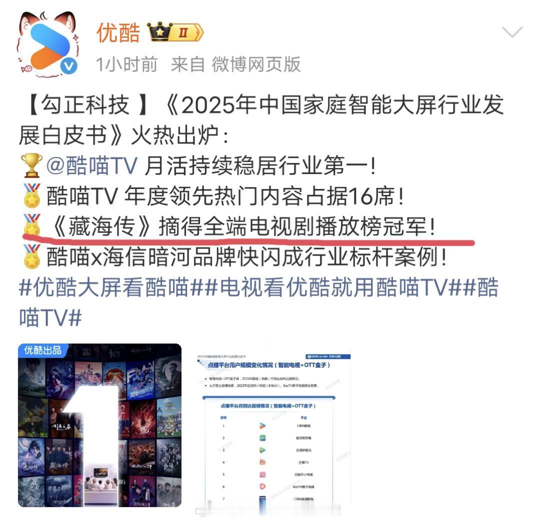 肖战《藏海传》拿下2025全端电视剧播放榜冠军
