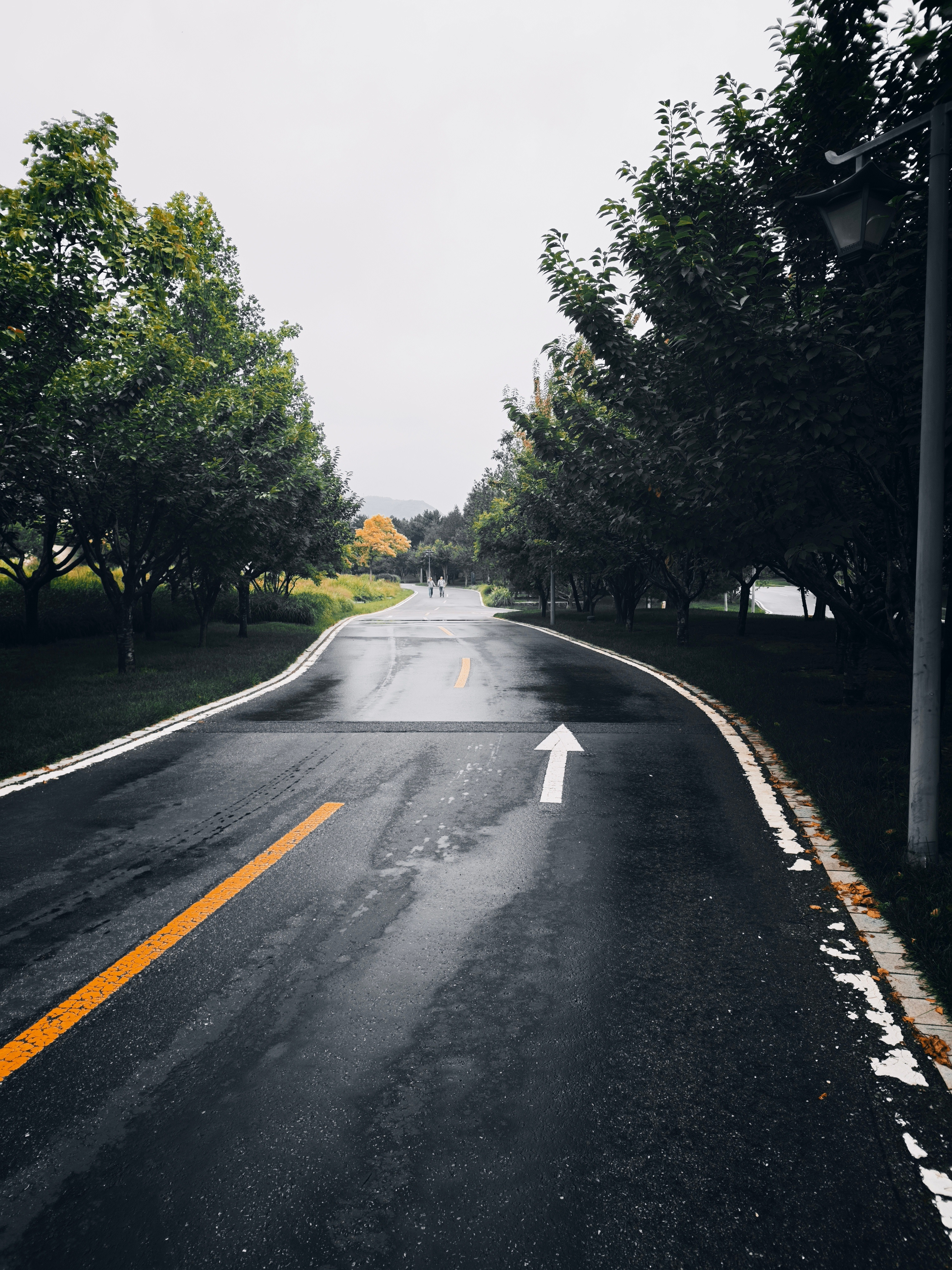 北京暴雨怀柔目前安好，不过据说一会要大暴雨了！