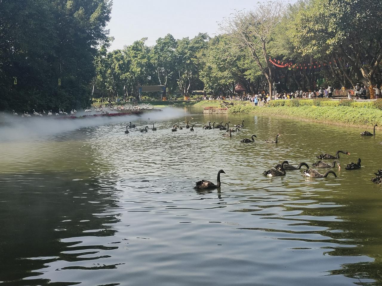 人到中年才懂：这辈子，就四件事人这一辈子，追名逐利大半辈子，到头来才发现：