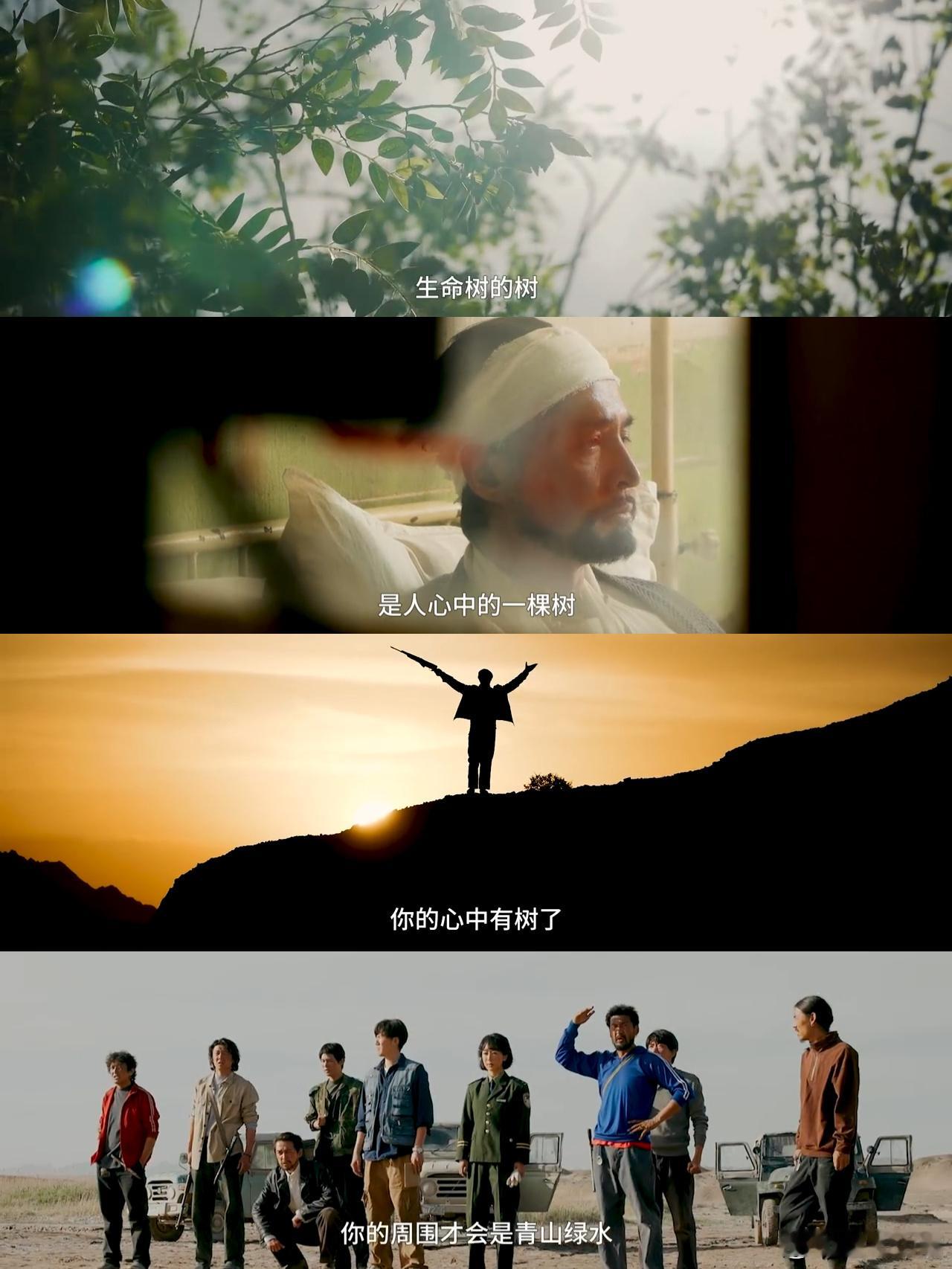 终于理解了为什么叫生命树《生命树》今日发布主题特辑，文案太有意义了！瞬间觉得高大