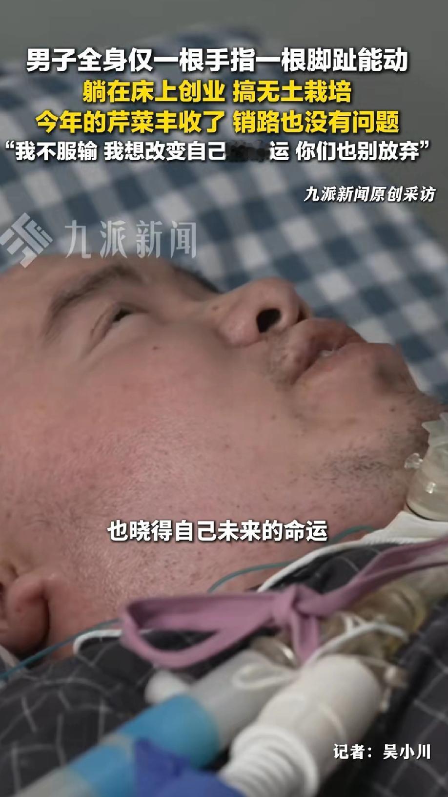 男子全身仅一根手指和一根脚趾能动，躺在床上创业搞无土栽培。今年芹菜大丰收，销路