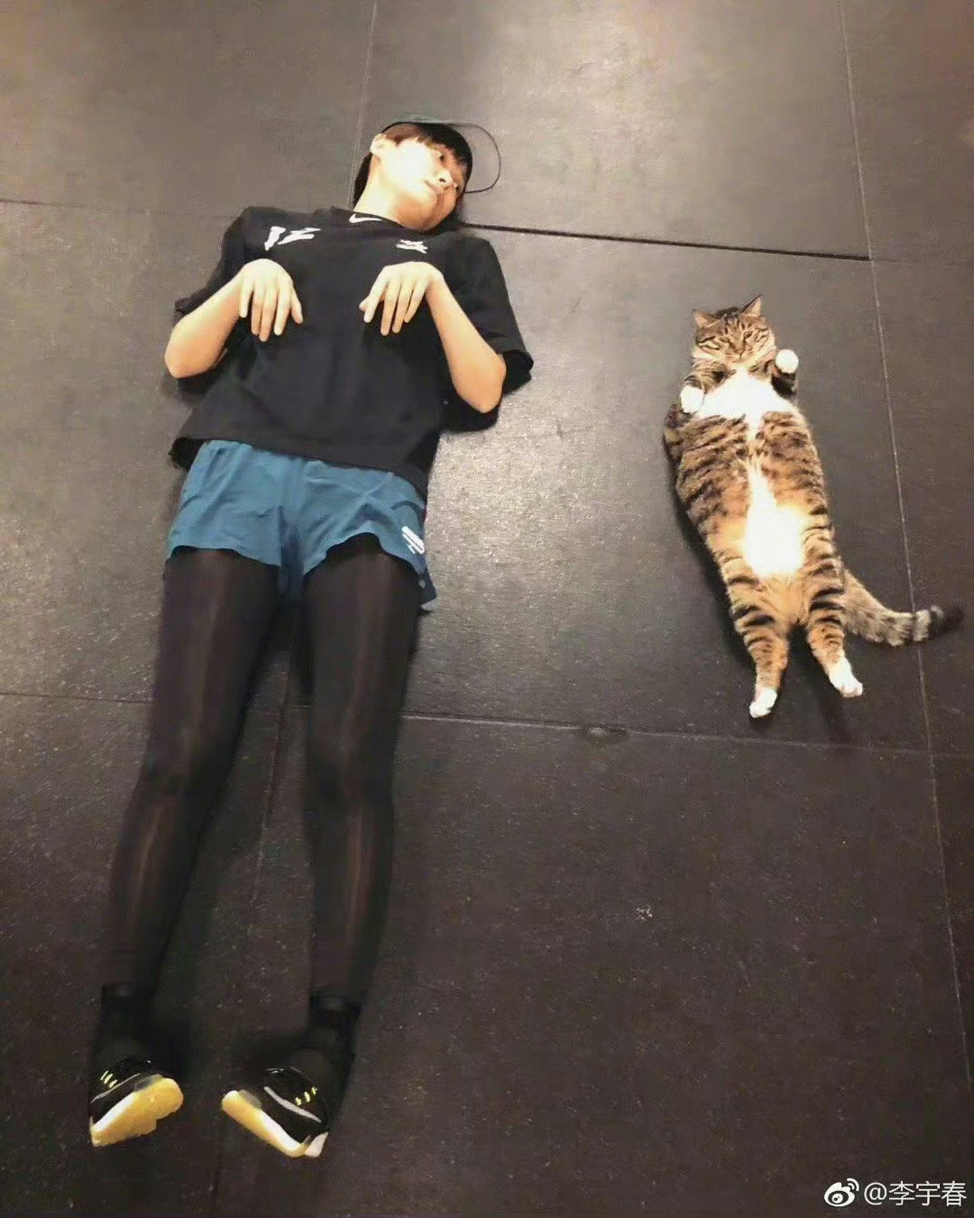 这种咪咪放我身边嘴嘴都亲肿谁能抵抗咪咪的魅力呢？嗯？说的是这些猫猫，还是这位“猫