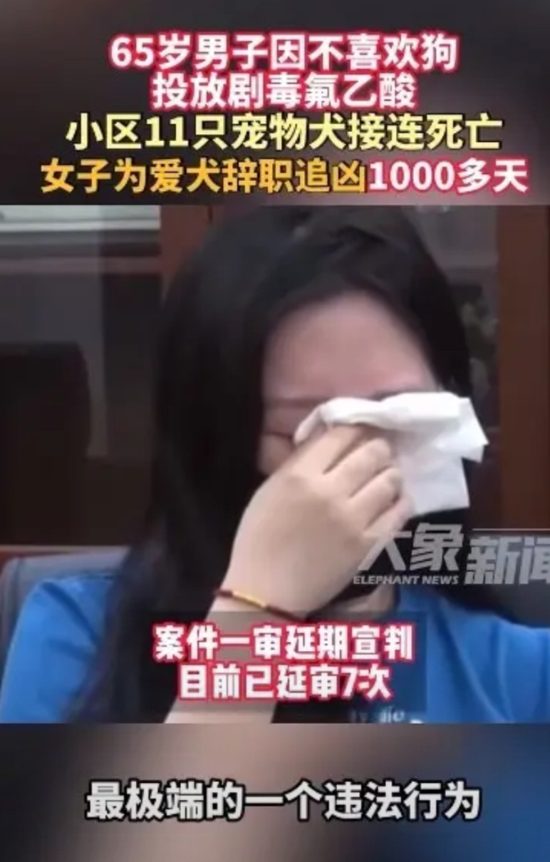 太执着了！北京一名女子因宠物狗被毒死，辞职追凶1000天！北京一小区内，有人