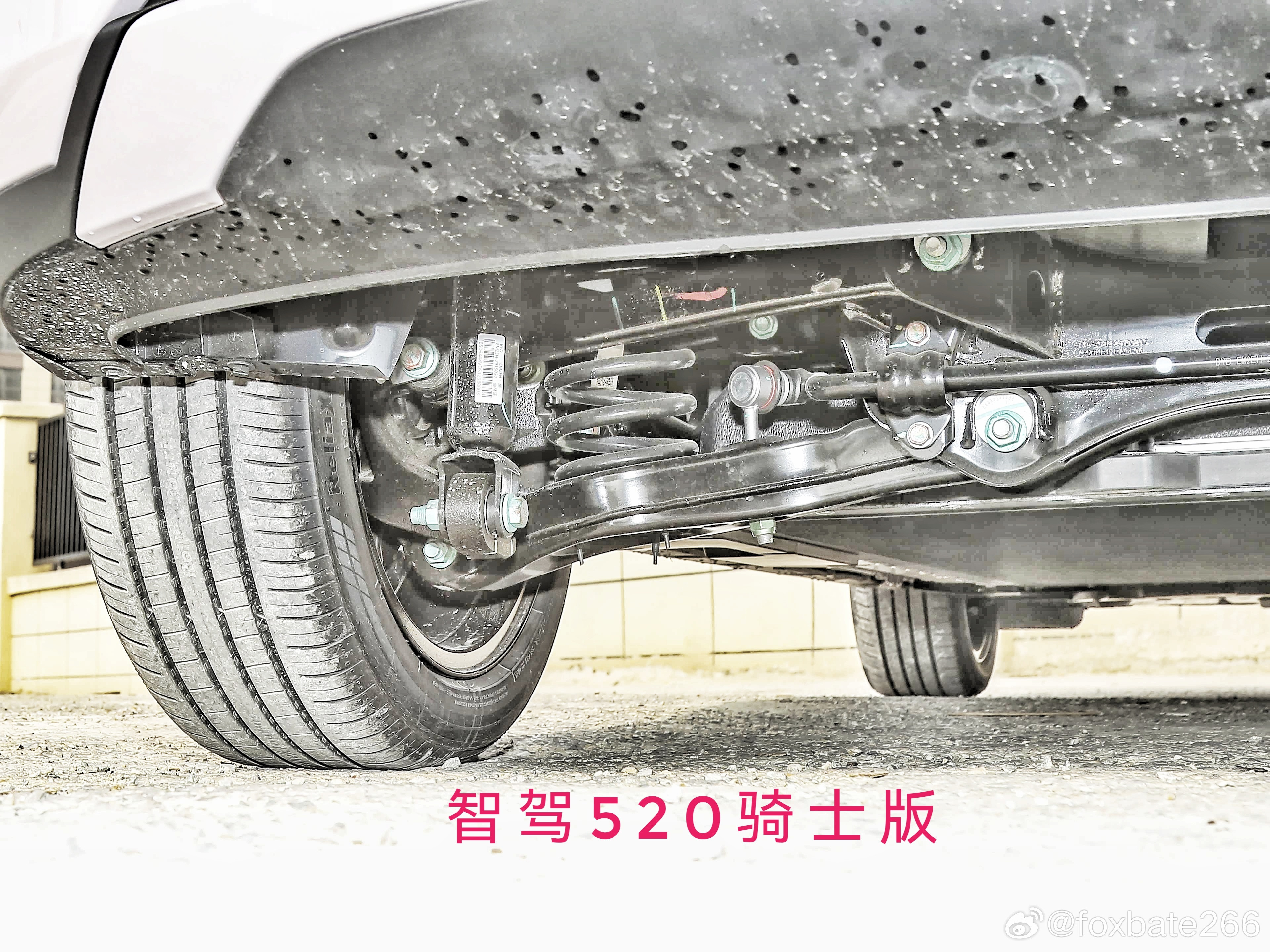 autohome图库的bYd海豚2025款。。。这是autohome疯了还是bY