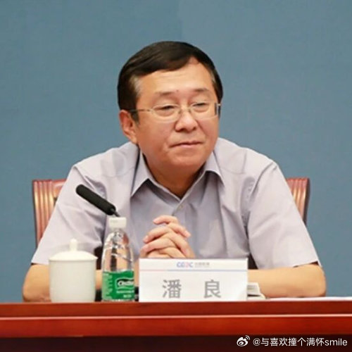 检察机关依法对潘良涉嫌受贿、利用影响力受贿案提起公诉​