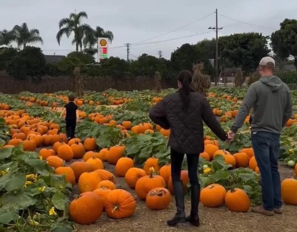 或许现在的梅根,依然是懵的,为何?因为被王室放弃的她,也不知要的是什么,只能频