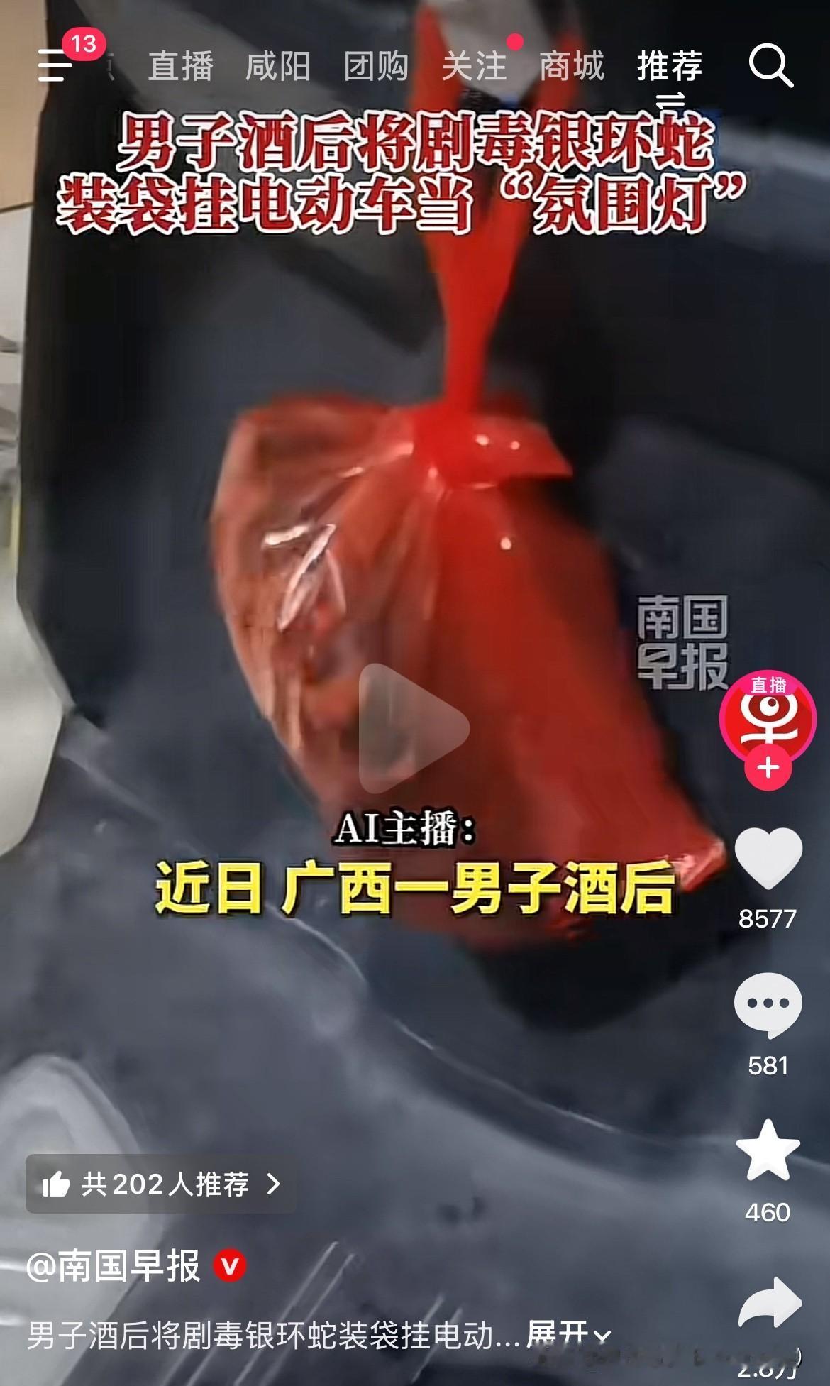 这哥们是个硬人，不得不佩服！近日，广西一个男的酒后把银环蛇装进塑料袋子，然后挂