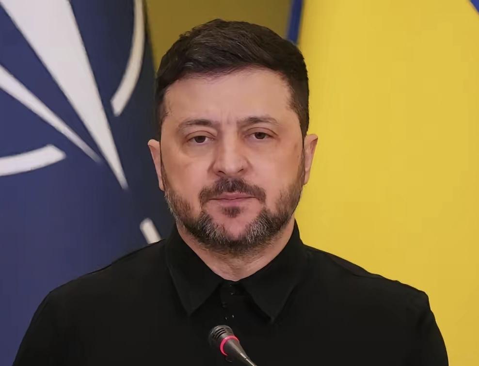 泽连斯基采取的这一行动，让全球网友目瞪口呆：他怎么敢？对一国元首实施制裁，这