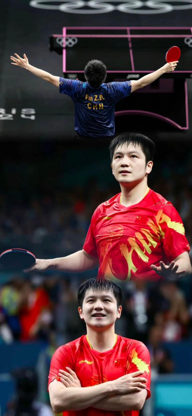 樊振东持续带火欧洲乒乓球市场这位国乒猛将的加盟，直接让萨尔布吕肯队的主场迎来“爆