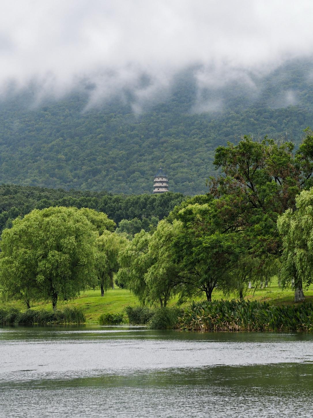 初秋的钟山烟岚，美如仙境！南京的初秋，都是从一场场雨开始变得温柔这几天受台风影