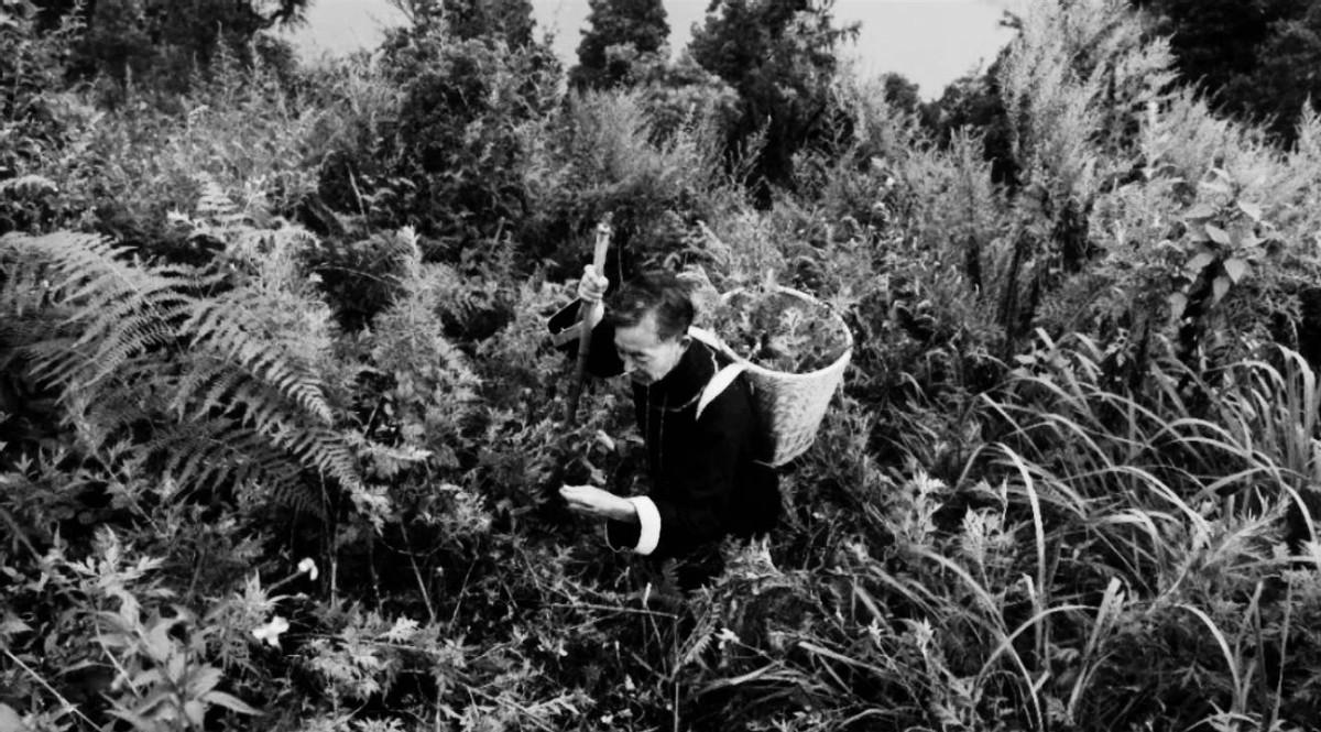 继孙思邈之后最为长寿的老中医，晚年公开长寿秘诀：珍惜精气就是珍惜生命吗？192
