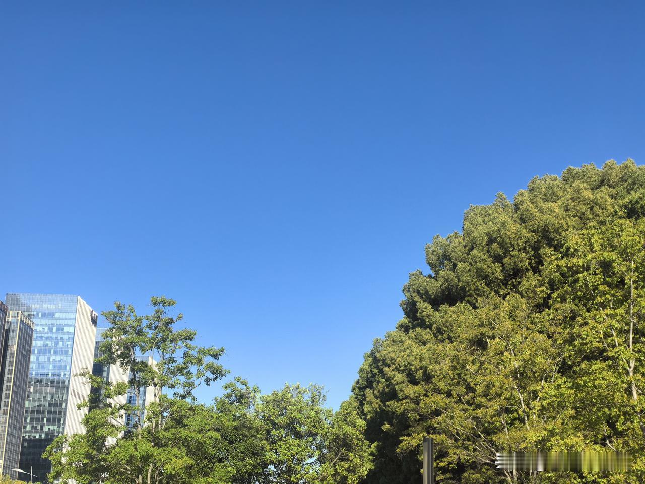 你会不会去理论？吃饭时，90后小姑娘说了她的一个小插曲：打好饭后，她将饭菜往