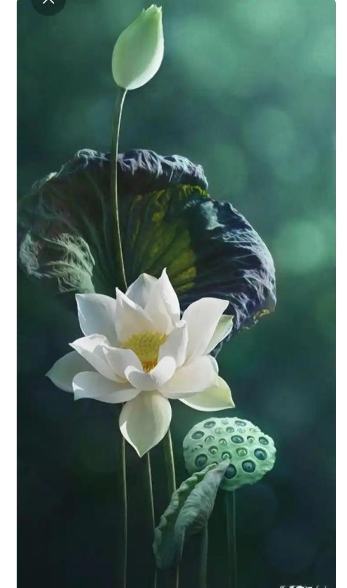 每个人都有执念，如求富，求贵，逐色，逐权。有执念则有心魔，有心魔则易成殤。故