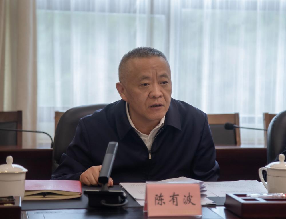 搞迷信活动, 四川南充市委原常委、政法委原书记陈有波被“双开”