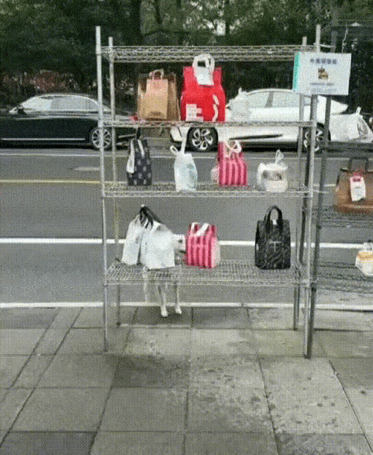 女子：请问我的外卖呢?外卖员：请看VCR。