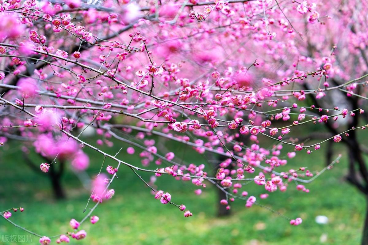 每个人的性格中，都有某些无法让人接受的部分再美好的人也一样。所以不要苛求别人，不