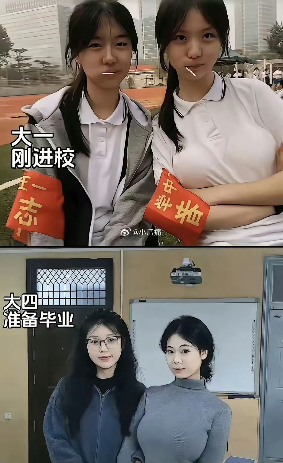 大学真是一个最高级美容院，把人的气质都改了