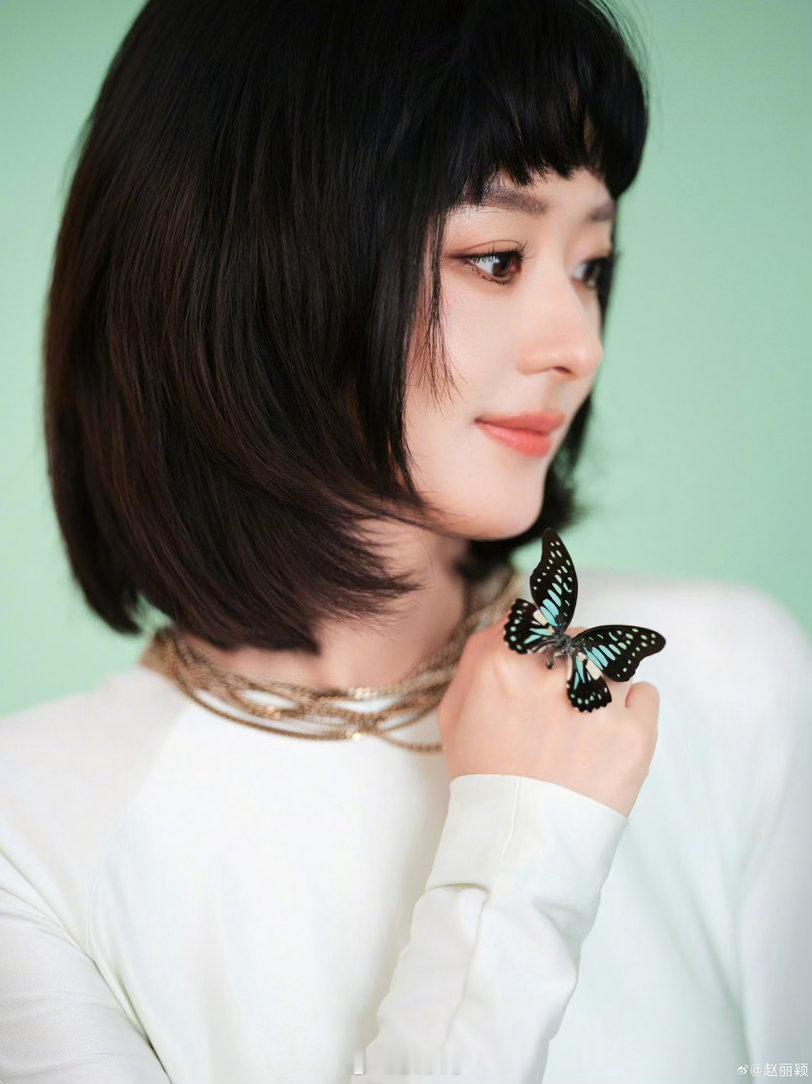 网传赵丽颖主演成都美人赵丽颖成都美人哇哇哇哇终于等来赵丽颖要进组的消息了啊，赵