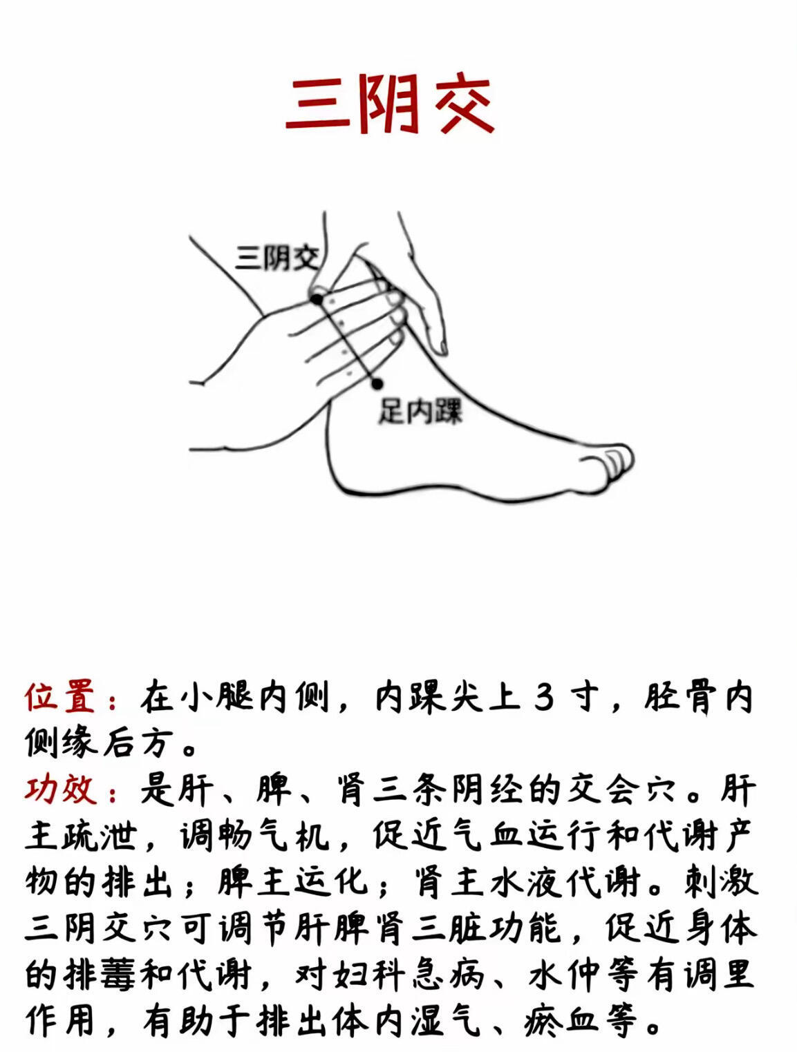 人体自带8个“排污口”每天坚持按这8个穴位，气血常顺，健康无忧伴朝夕！国医的精诚