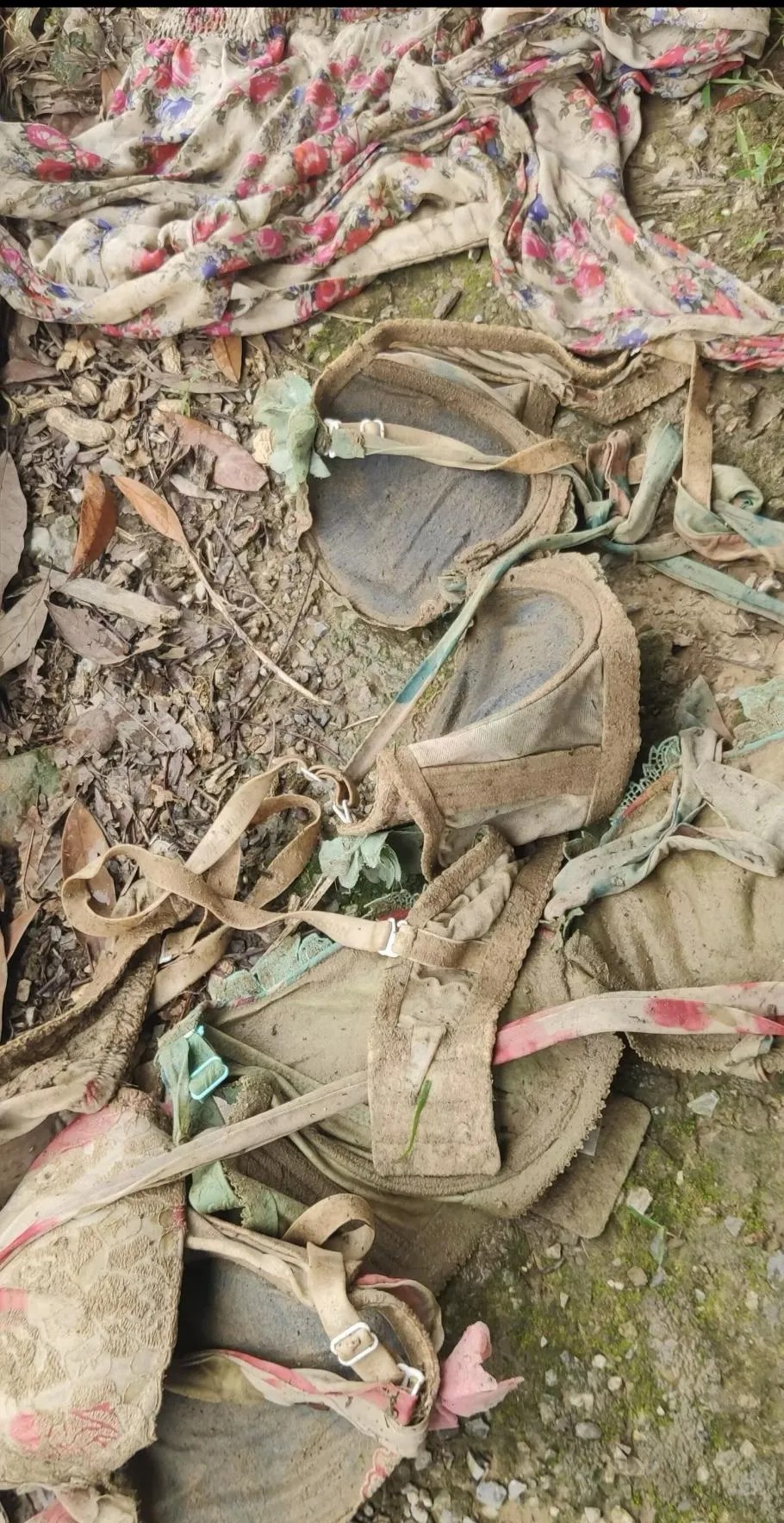 地上这些旧内衣和裙子，也不知道究竟是从哪户人家来的呢？这里面难不成真的藏着什么不