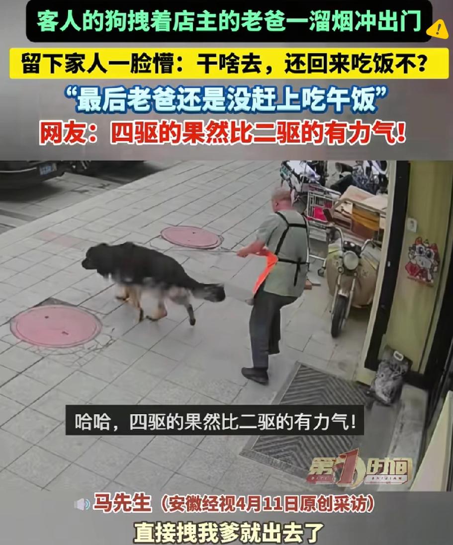 笑不活了家人们！客人的大狗直接拽着店主老爸一溜烟冲出门，给店里人都看傻了！