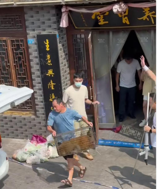 四川德阳“超快猴”被捕获: 半个月逛遍城区成当地“明星” 将观察评估后决定其去向