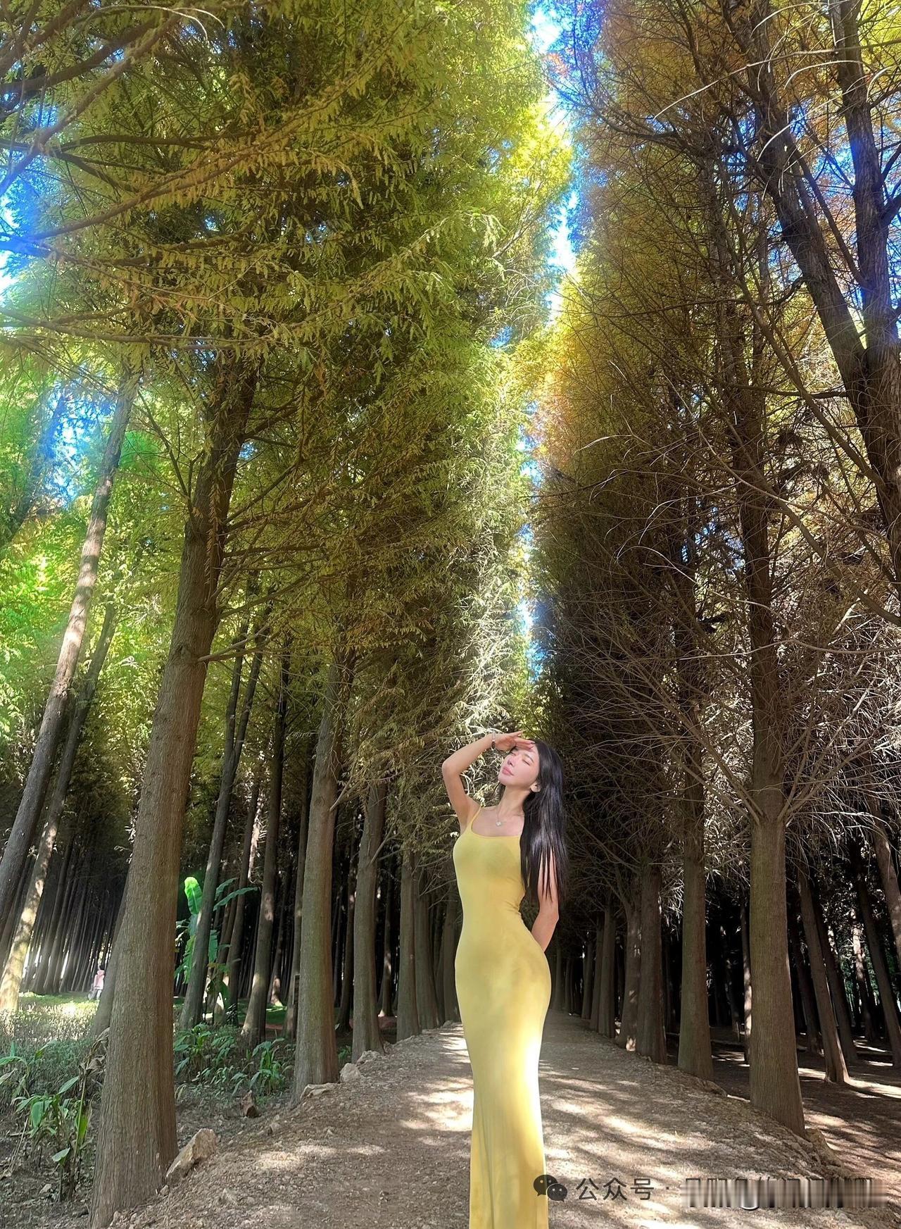 阳光洒在森林小径，穿着黄色长裙的少女在树影间漫步。阳光白裙少女棕裙少女照黄昏