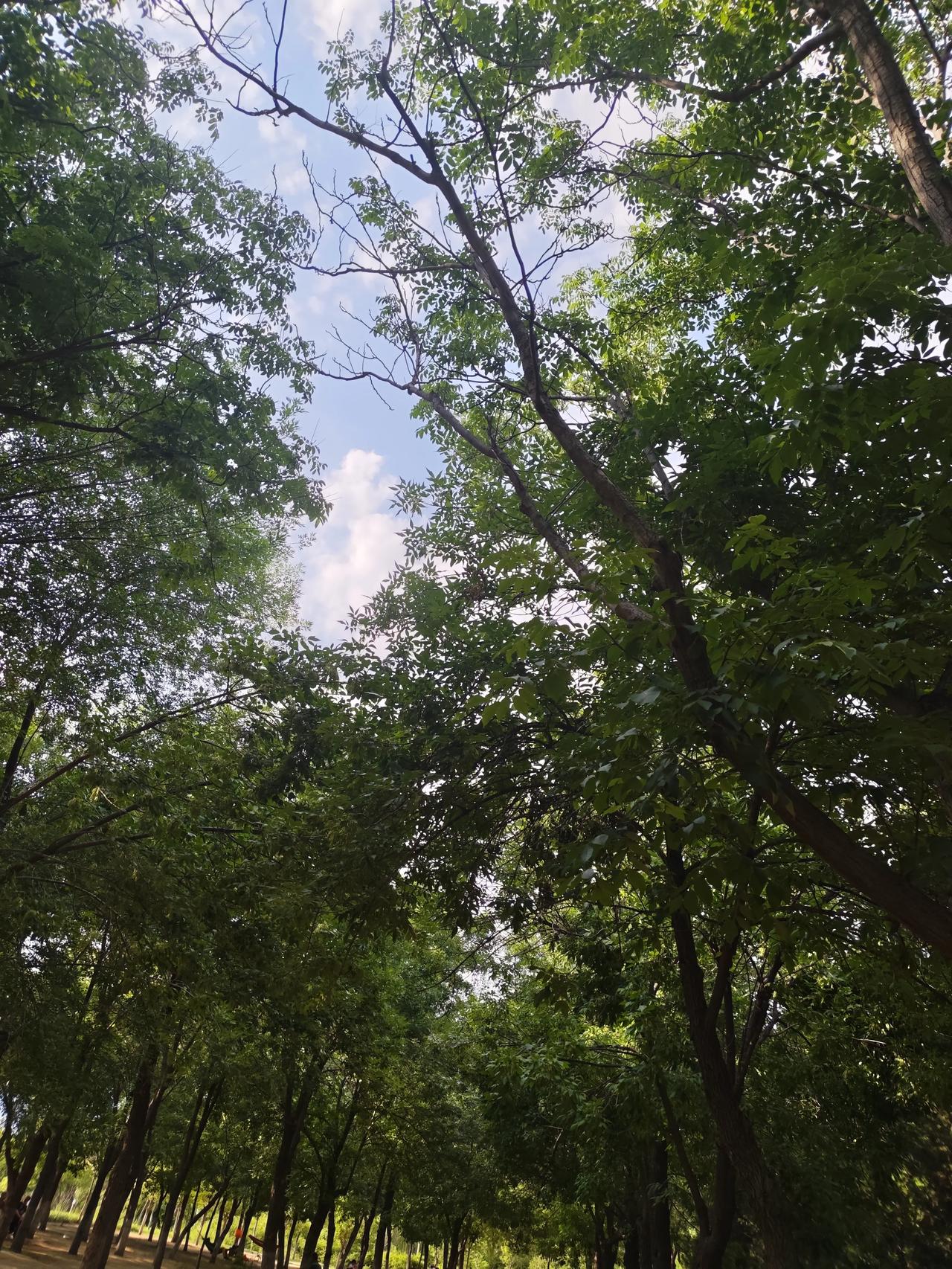 老公有个表哥，表哥两口子都在银行工作，他们只有一个独子。孩子大学毕业后，在电力系