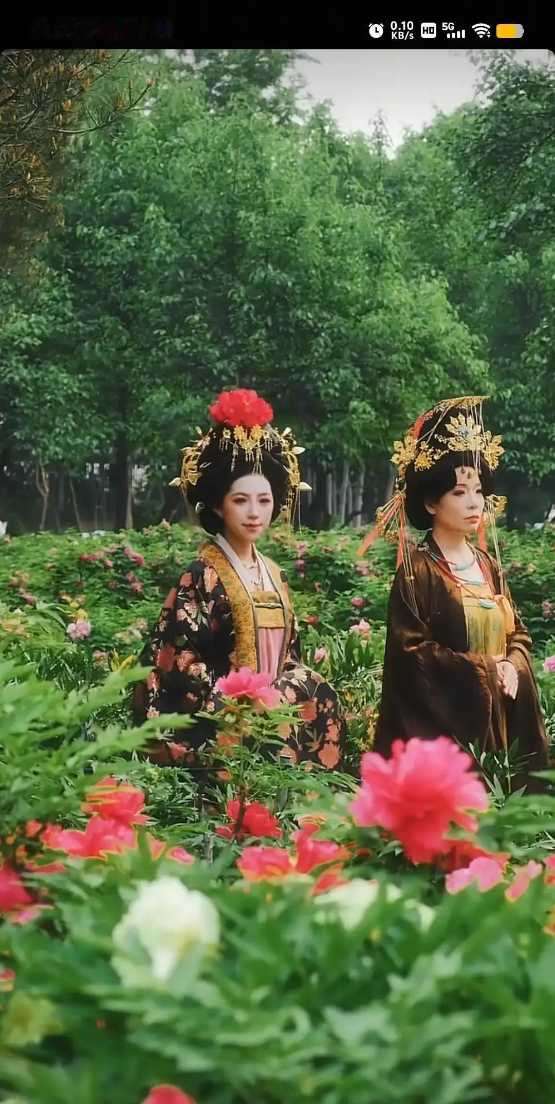 麦小登晒和婆婆逛洛阳牡丹园的照片，我第一眼真以为是哪部宫斗剧路透。俩人穿得华