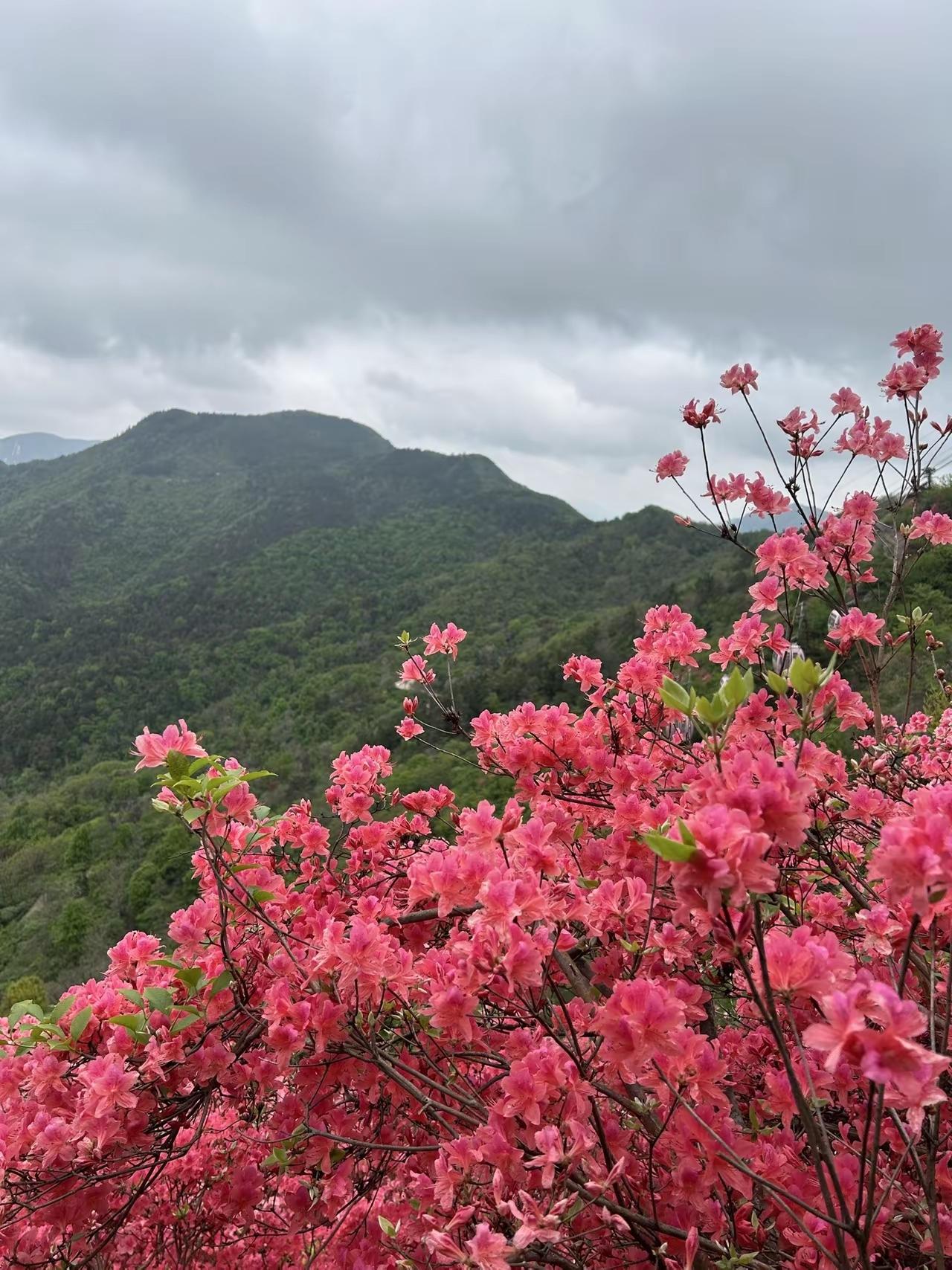 让自己活得舒服的习惯：不内耗、顺心意、守节奏，把日子过成自己的模样1.情
