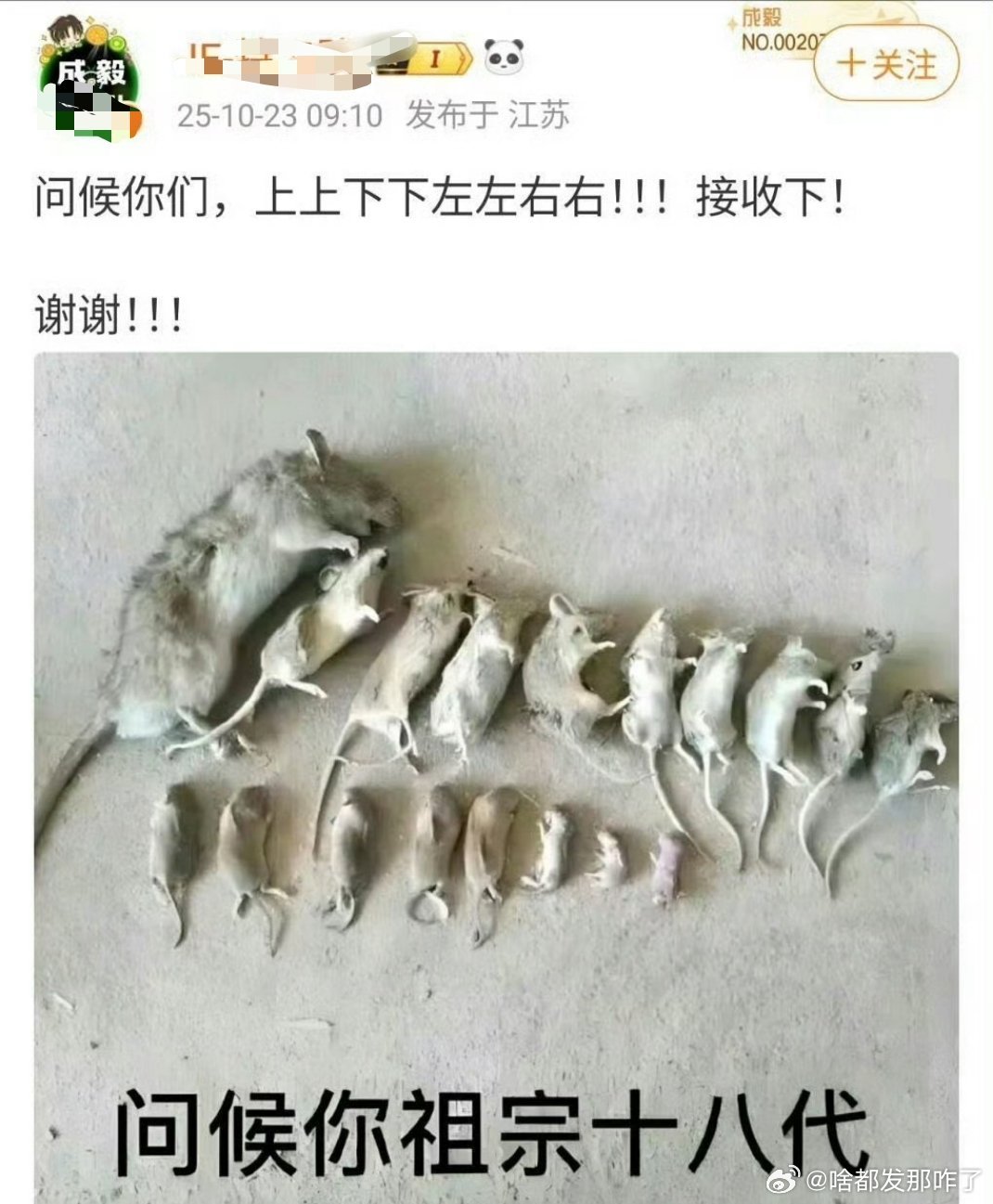 ie的职能组这样问候她同担的？？？​​​