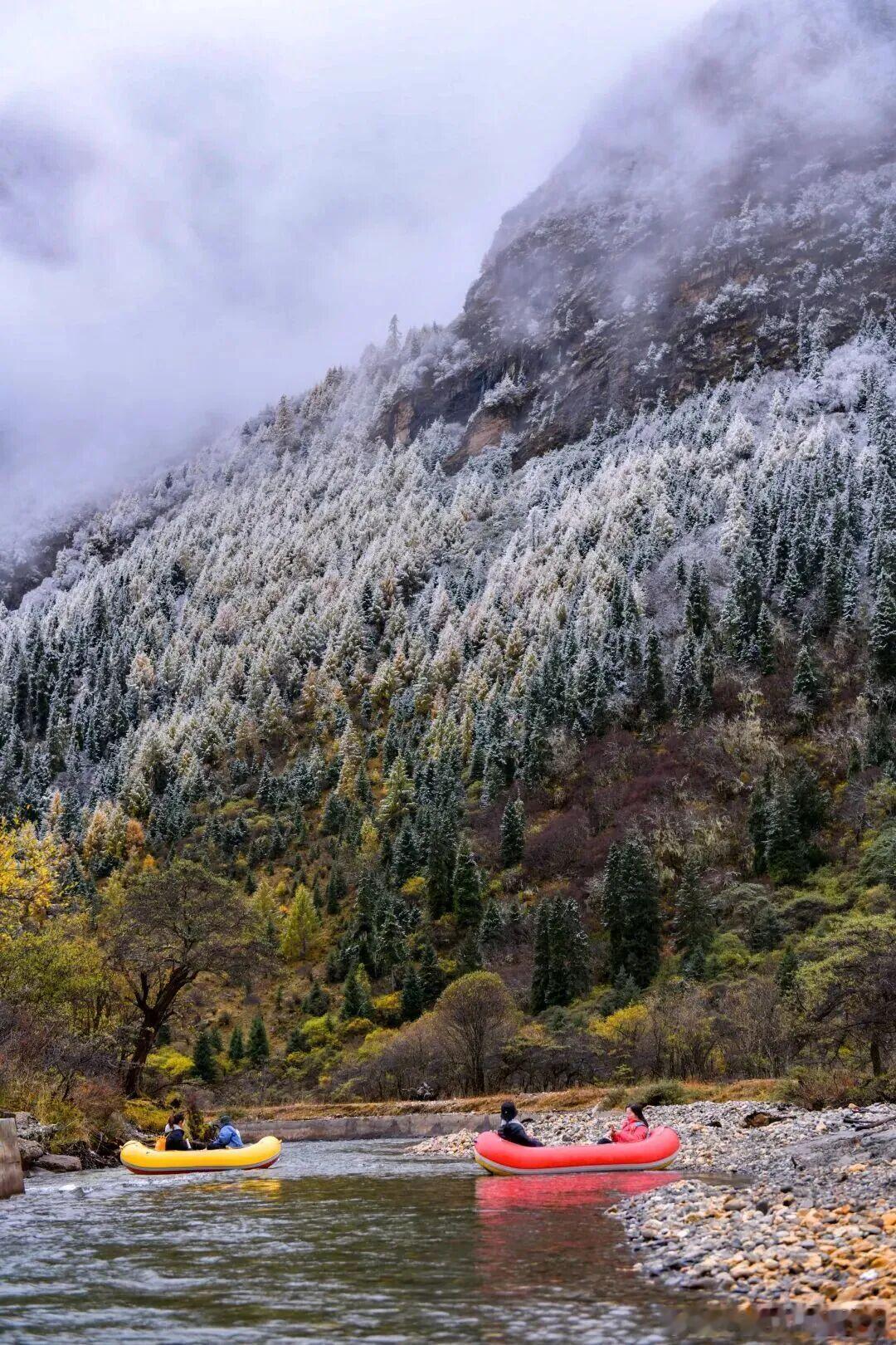 当初雪落向彩林，四姑娘山把川西独有的浪漫拉满❄️谁能拒绝半山彩林半山雪的震撼。峰