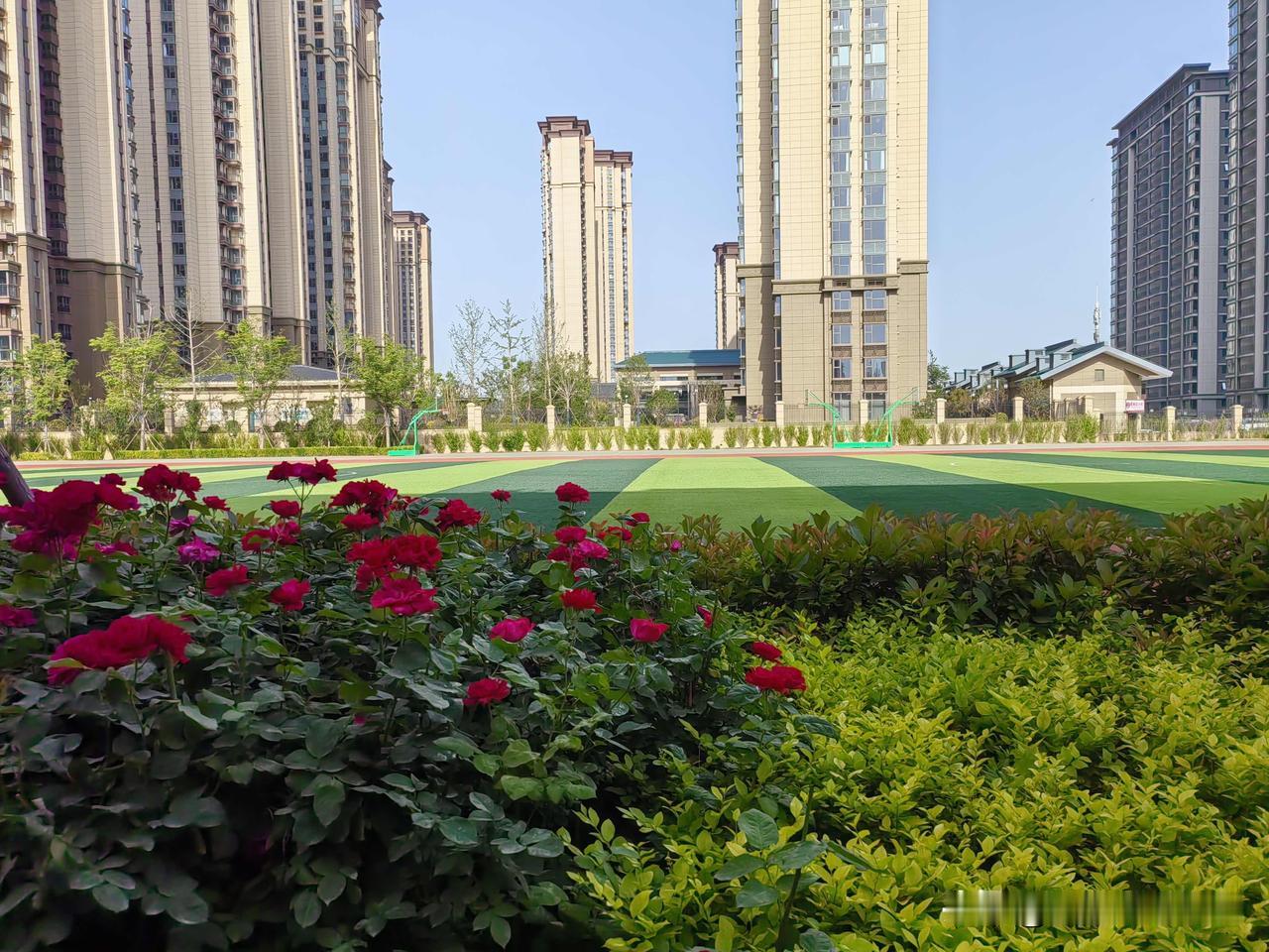 我就是单位里的傻子91年毕业分配到黄金地段区直一流小学，至今已有三十多年的教