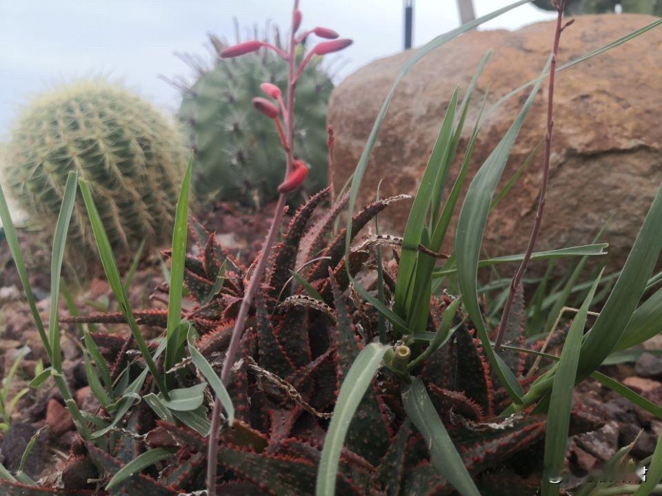 这男人遭老婆这样对待，纯属咎由自取！一男子，35岁，和老婆结婚6年，因为他的精子