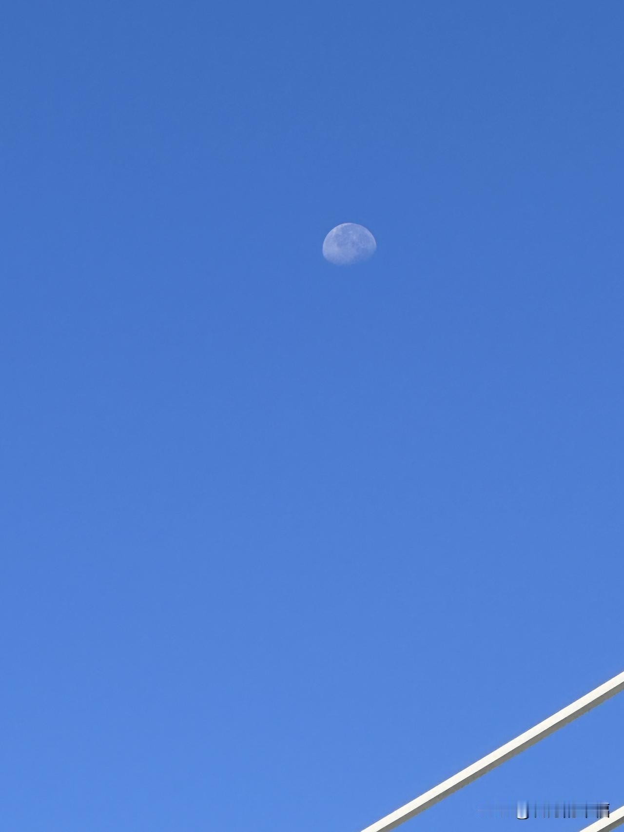 易中天，罗翔，莫言。此处无言胜千言万语。