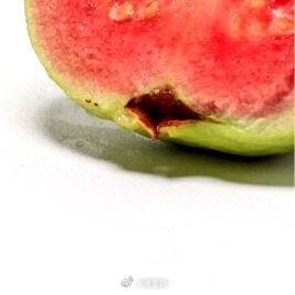 种植0030番石榴（芭乐）的种植方法：适合阳台盆栽、南方地栽；新手优先买嫁接苗