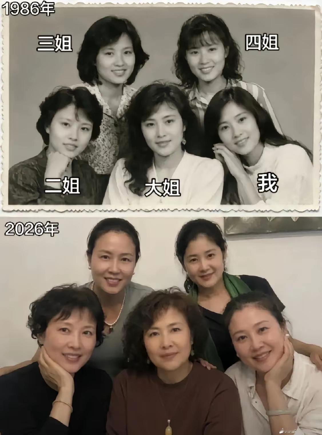 一家子善良美丽，大姐端庄能抗事，二姐机灵，三姐温婉，四姐慧中，您秀气可人。