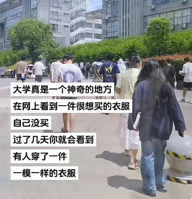 大学真是个神奇的地方