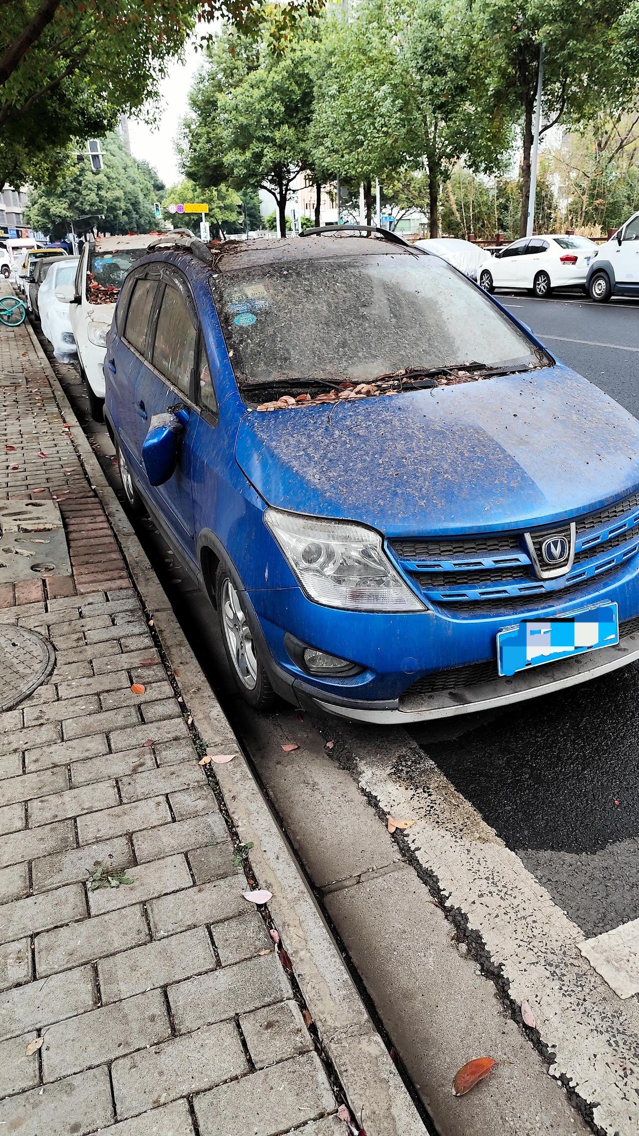 车主可能过年还没回来，透过玻璃看里面挺干净的，但这后视镜，该修还是得修啊！