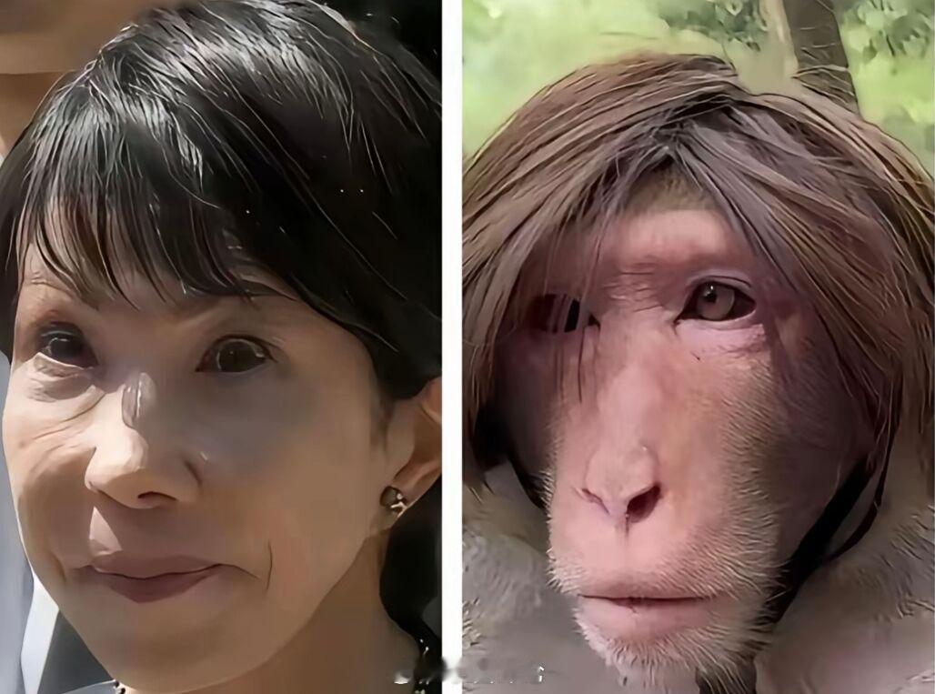 就是来搞笑来了疯婆子除了煽风点火其他什么都不知道，不过这照片挺贴切的