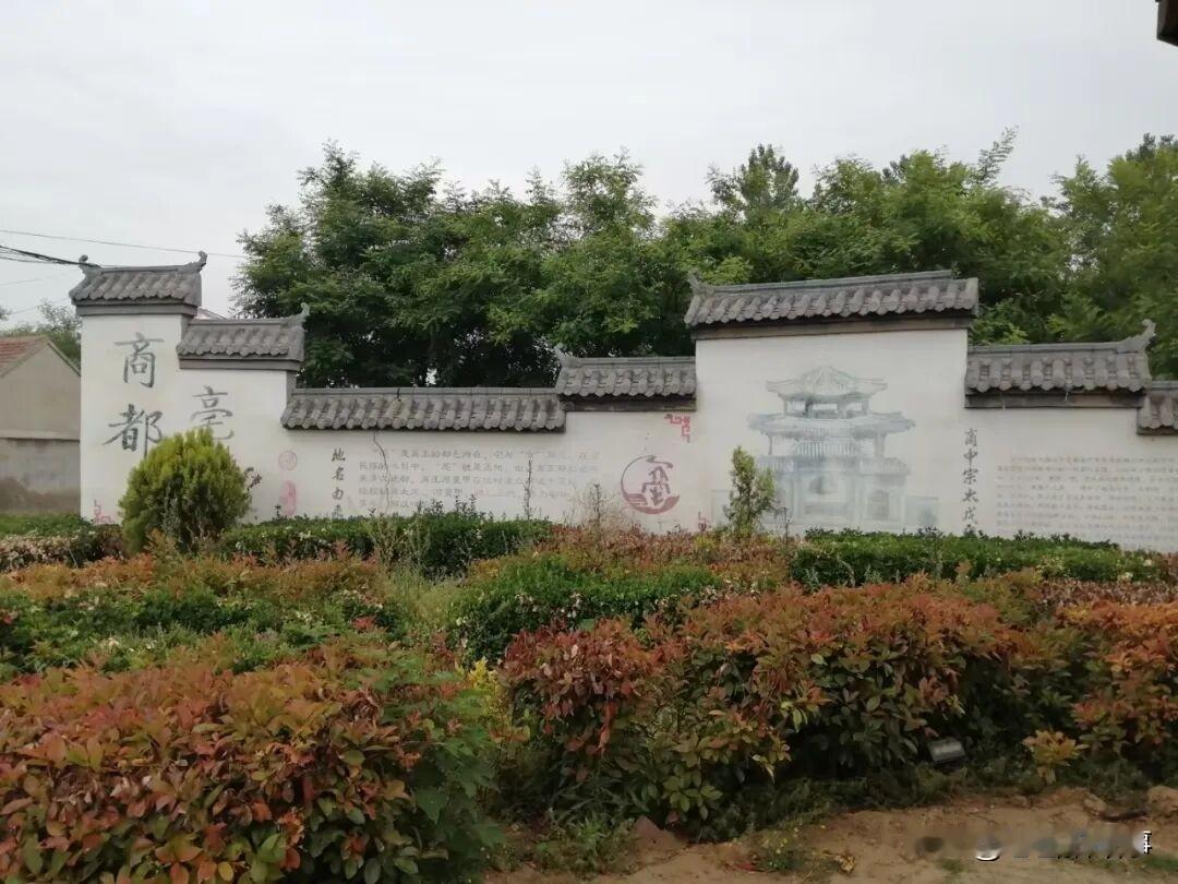 十一假期，生活在郑州的人都知道了亳都这个地方！但有些人却把“亳”字读成了“毫”！