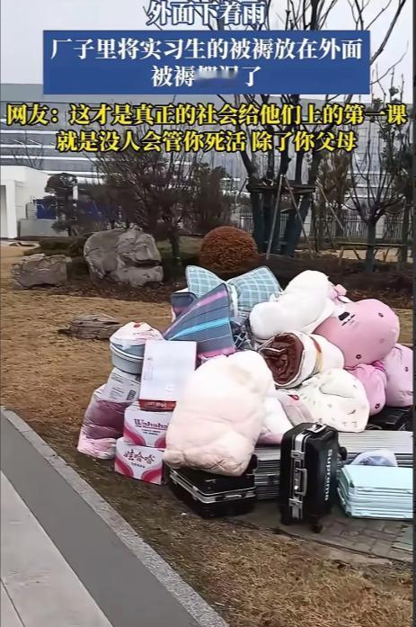 “长见识了！”1月20日，安徽芜湖某电子厂。一群实习生来到工厂报到。他们把行李箱