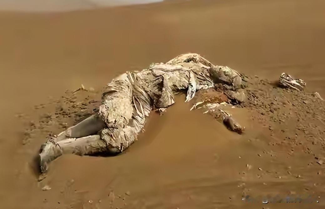 回顾：罗布泊惊现干尸，警方破案后大惊：竟是失踪58年的功臣！麻烦各位读者点一