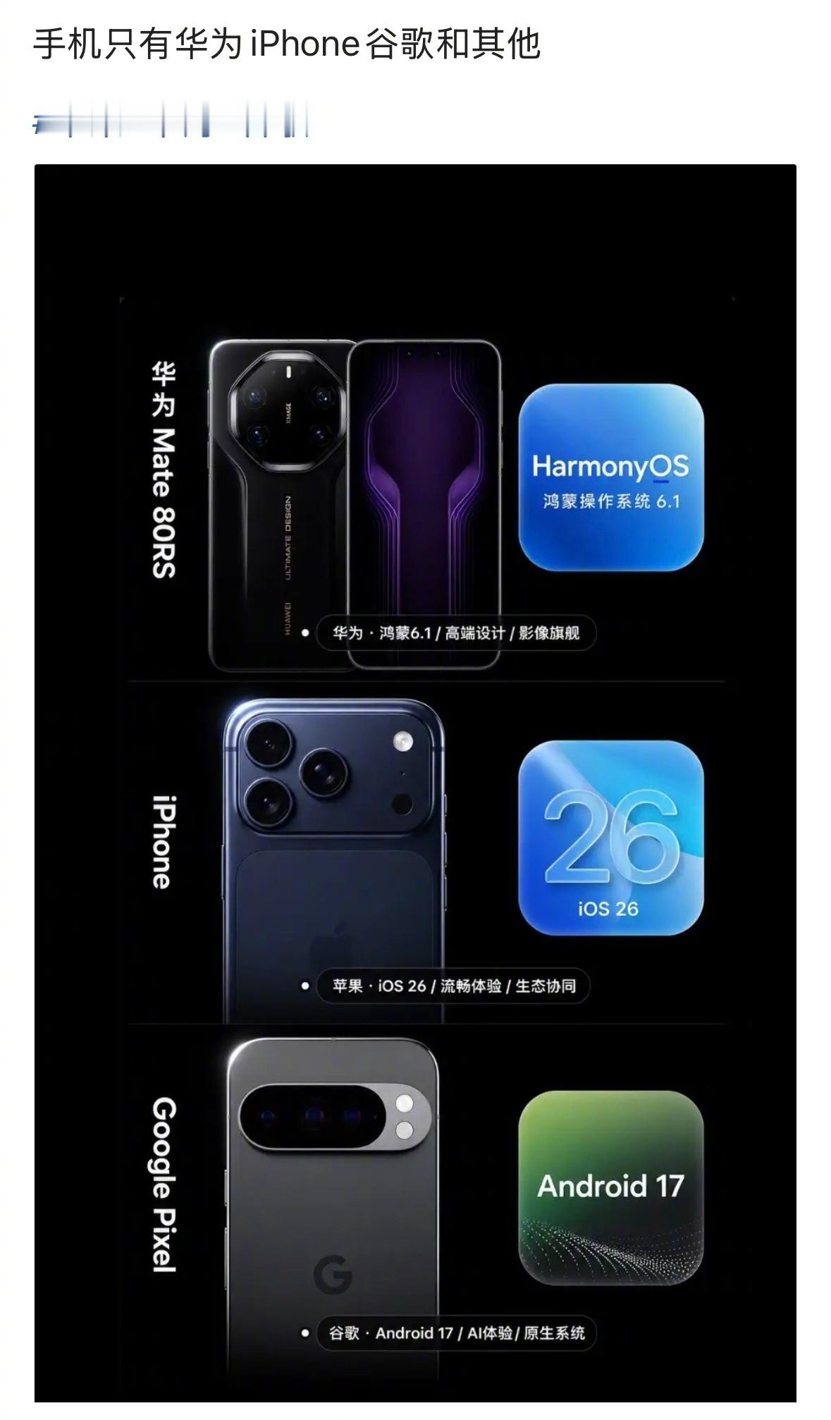 网友：手机只有华为iPhone谷歌和其他，你同意吗？