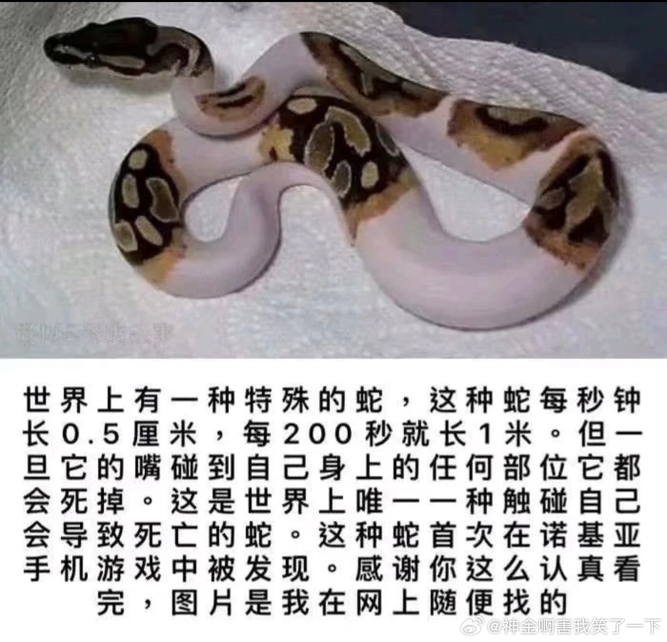 6678感谢认真观看