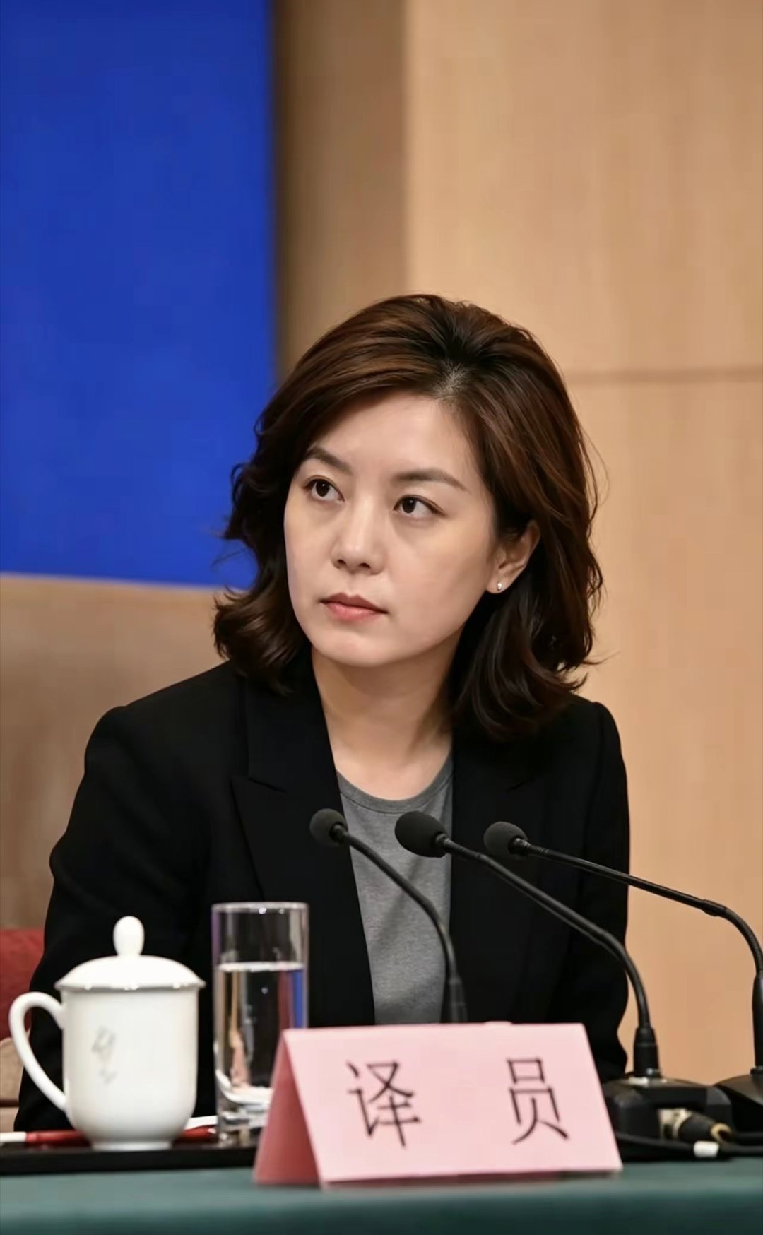 翻译界的女神张京，正在工作的时候仪态端庄，气质优雅，知性温婉，再好的形容都不为过