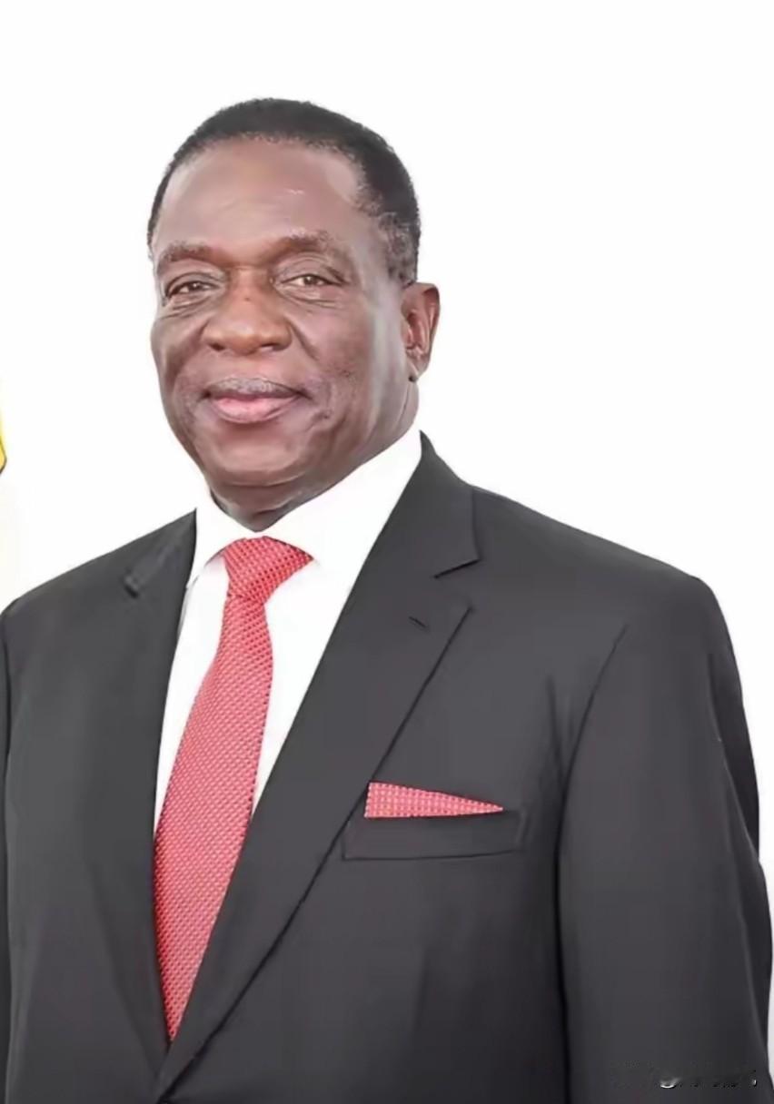 津巴布韦正式拉闸，全面封杀所有初级锂原矿出口！很多人以为，这是针对中方新能源巨头