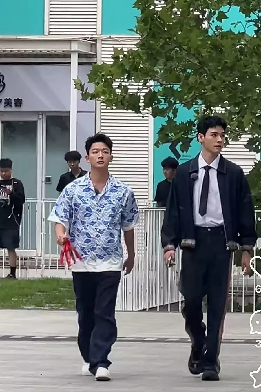我很少用艳压这个词。。​​​